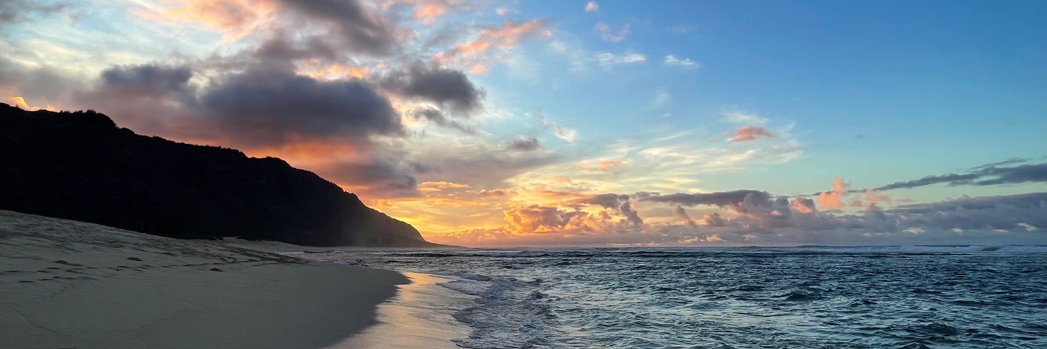 MattRiedleBooks 💹🧲 banner