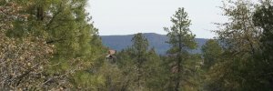 RimRealEstate's profile banner image
