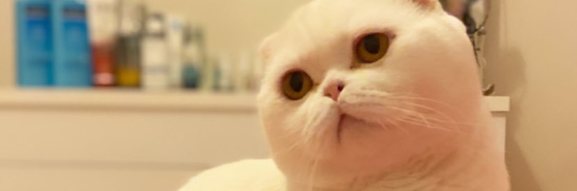 hintlibiri's profile banner image