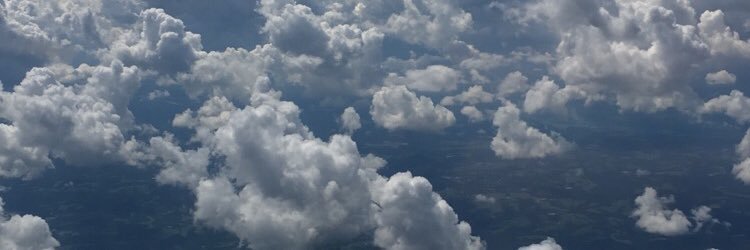 HallAyres's profile banner image