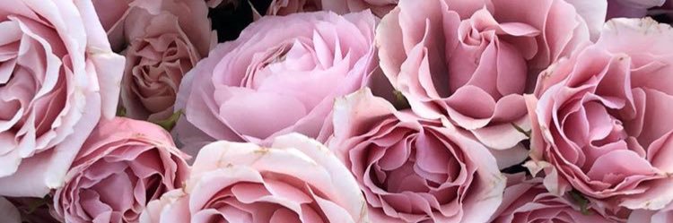 oliviabondoc's profile banner image