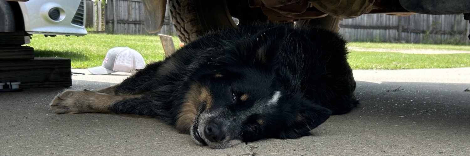 baileybiggs04's profile banner image