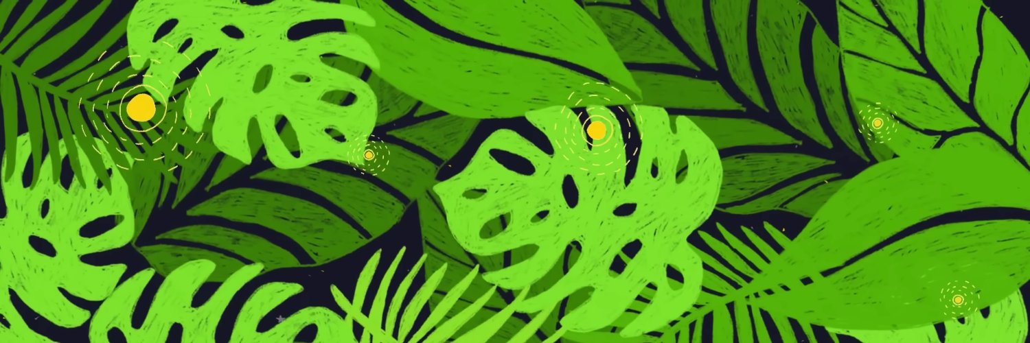 lisandroaraoz's profile banner image