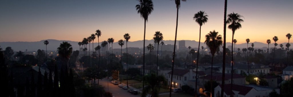 Quantist_'s profile banner image