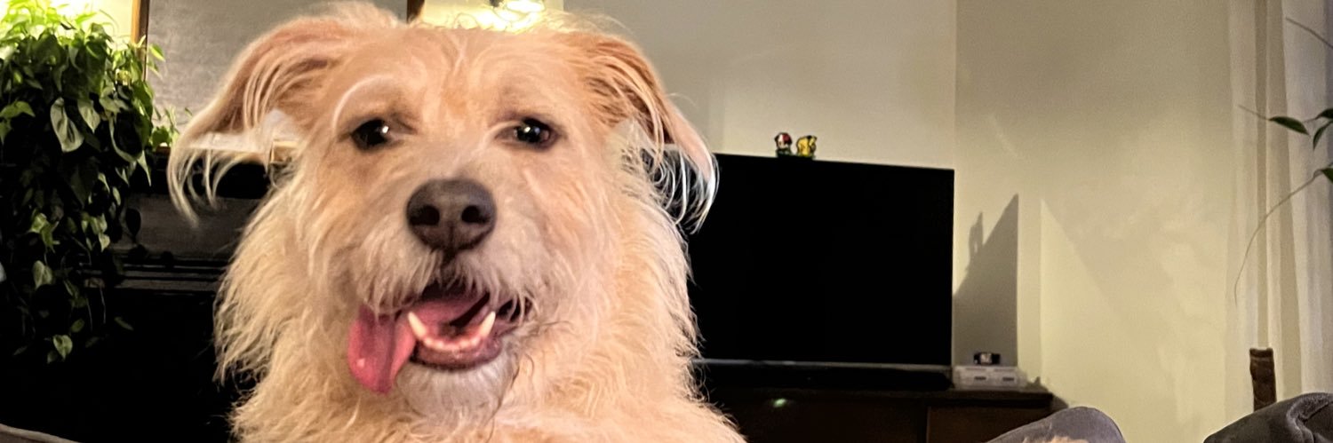 branbarnett's profile banner image