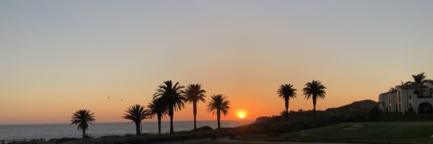 realmando's profile banner image