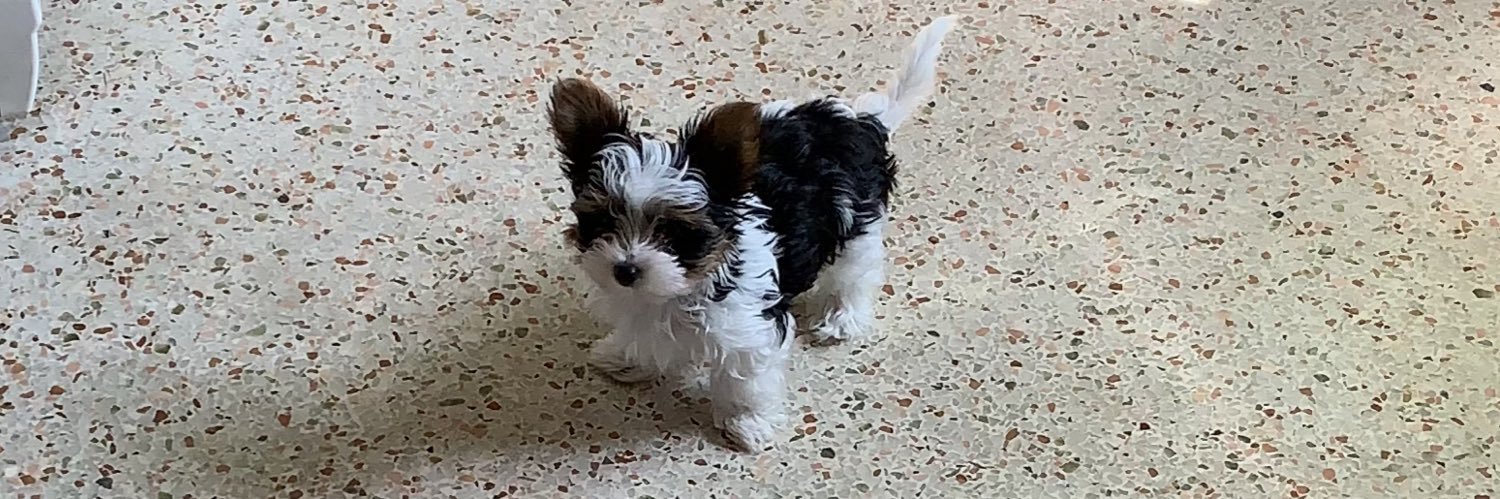 🎤 Christine_Steel 🎶 banner