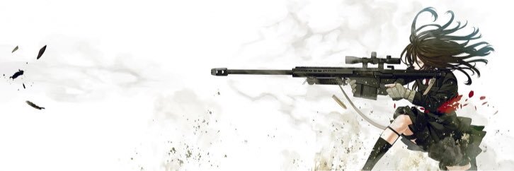 RapidSquirrel2's profile banner image