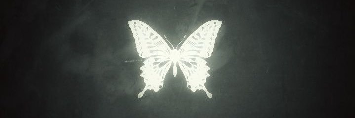 bulbirkun's profile banner image