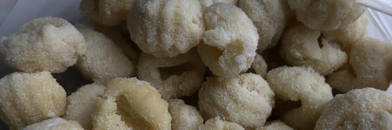 Viole Fischer banner