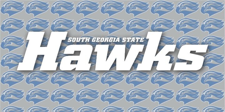 SGSC Softball banner