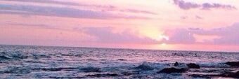 SassyPlusSweet's profile banner image