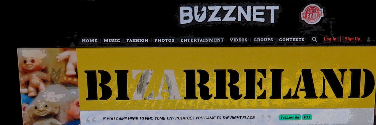 squirrelnuttmom's profile banner image