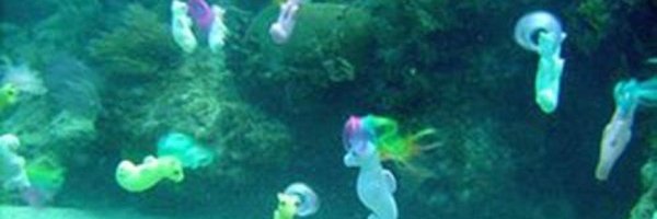 DescansenPez Profile Banner