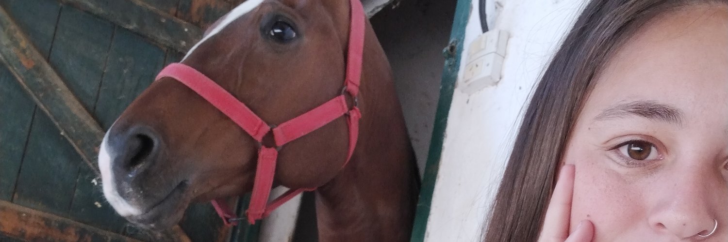 GuuiilleeColman's profile banner image