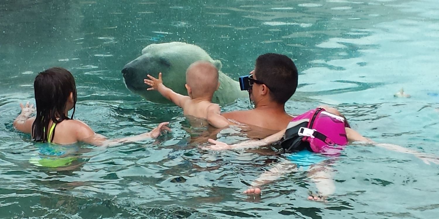 Mark Thunderchild banner