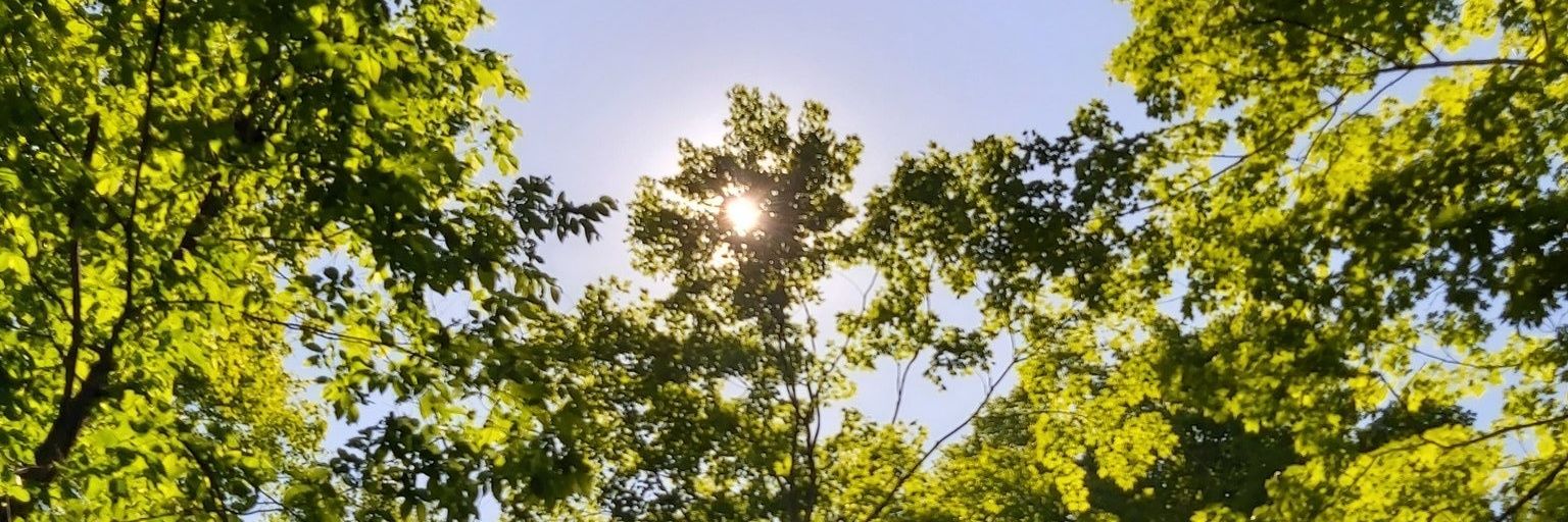 somegoodPR's profile banner image
