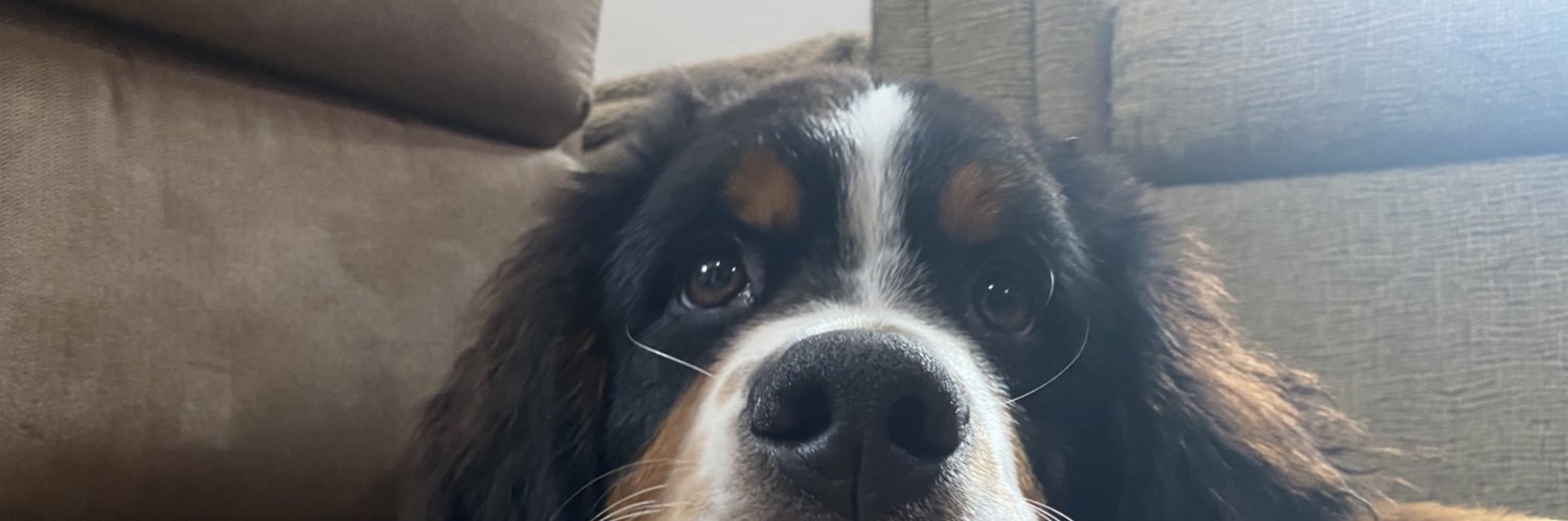 sierr_smith's profile banner image