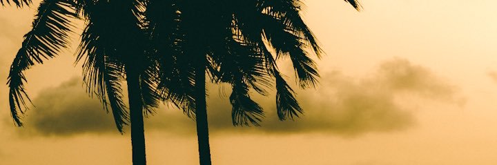lifeofwaley's profile banner image