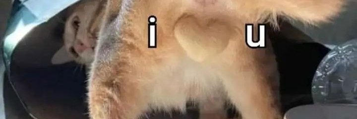 Bibiatrizz2's profile banner image