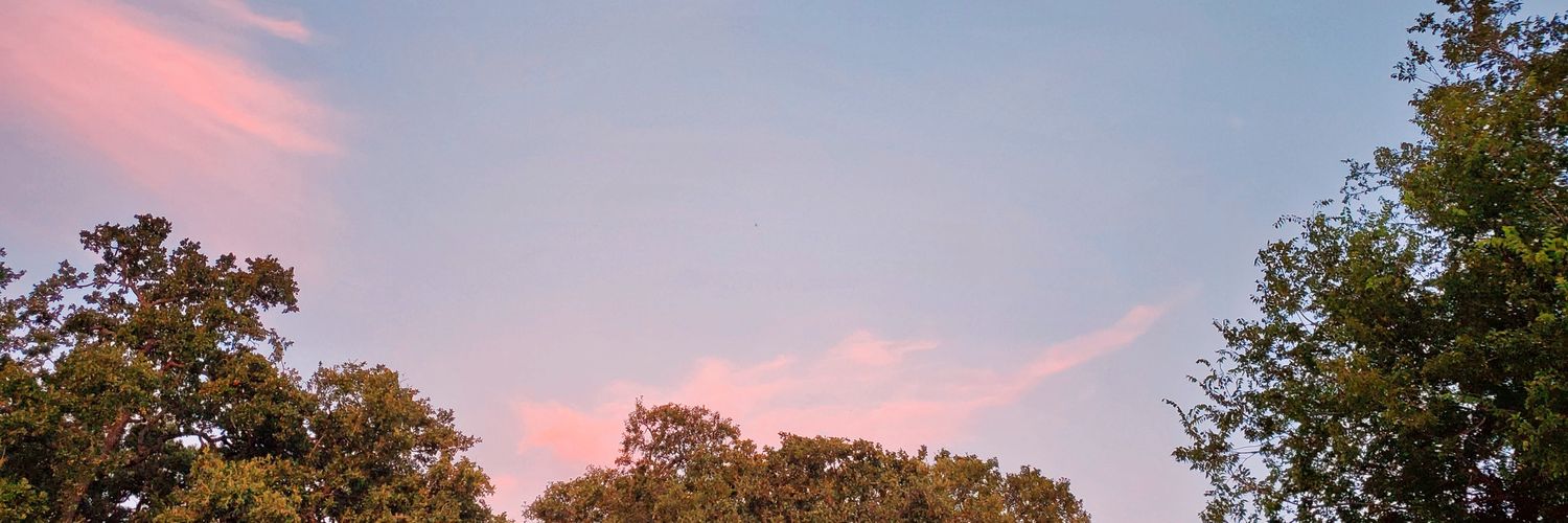 MFMARCO_'s profile banner image