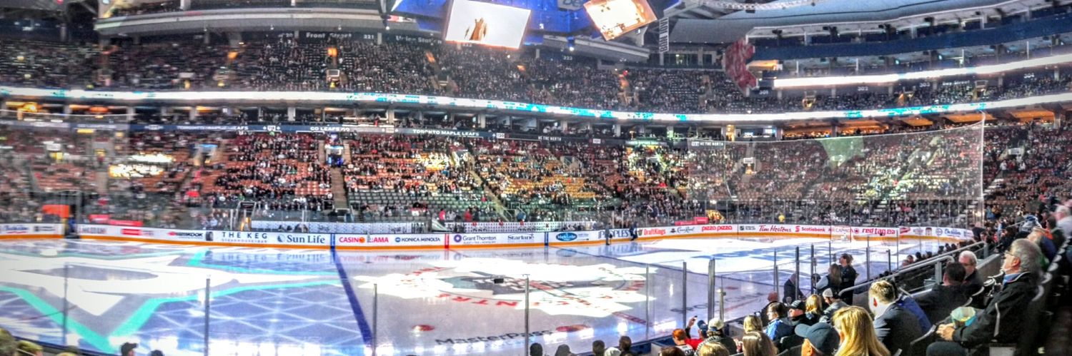 Leafs Nation banner