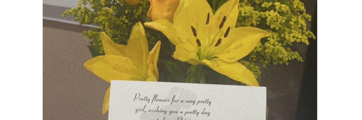 Emily_Motaa's profile banner image