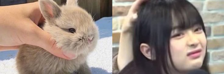 kyaachu's profile banner image