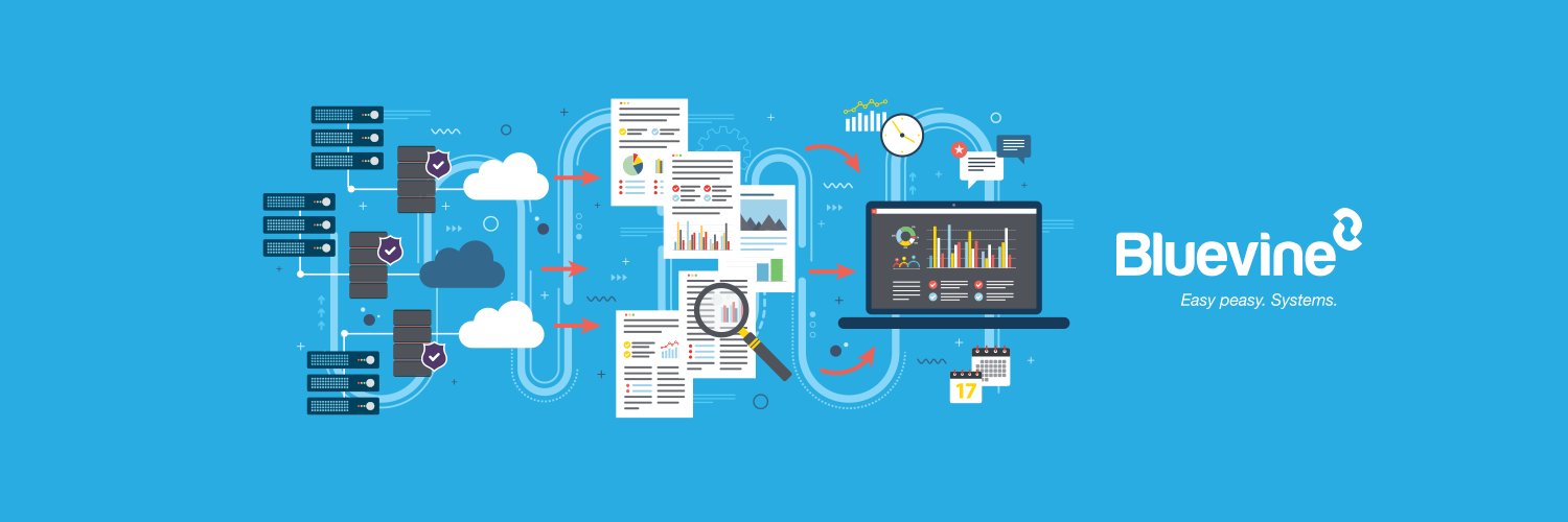 Bluevine Group banner