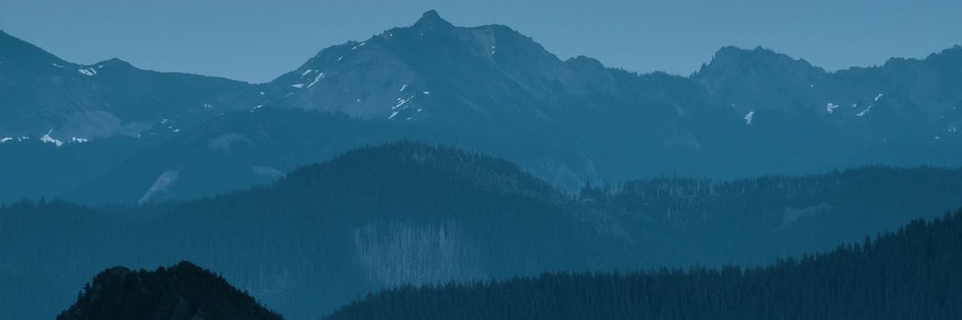 Brandy banner