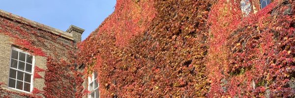 soyeon_kim_IL Profile Banner