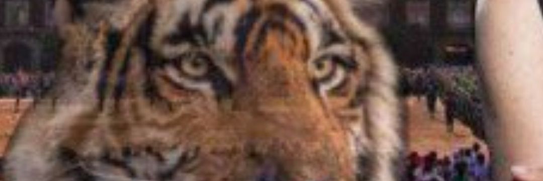 Alfonsom67's profile banner image