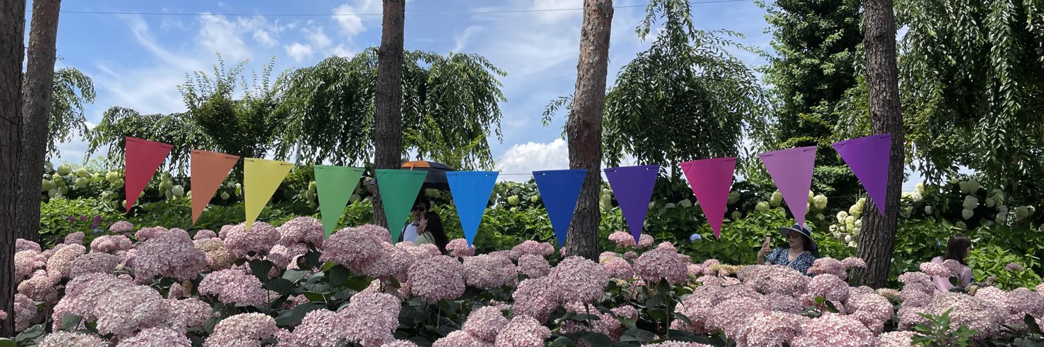 비염핑HELENA banner