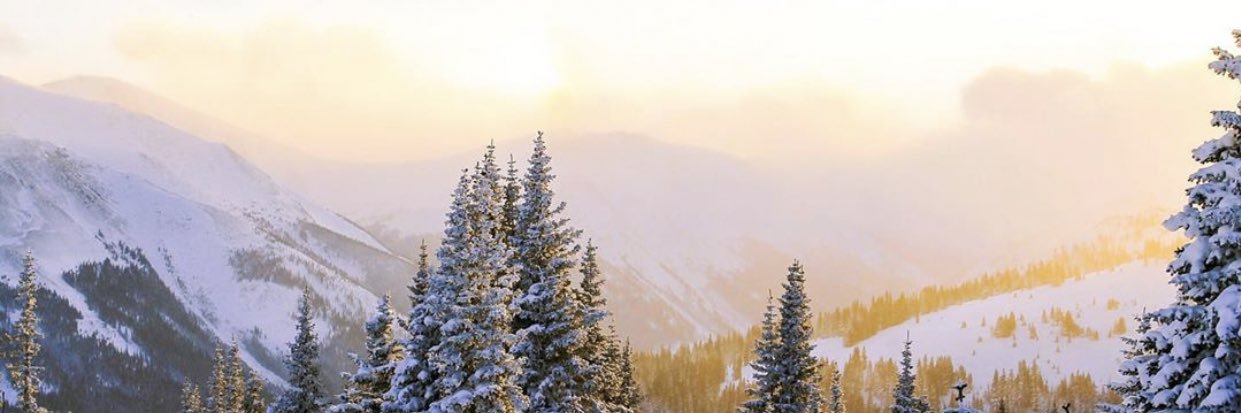 grantbednar's profile banner image