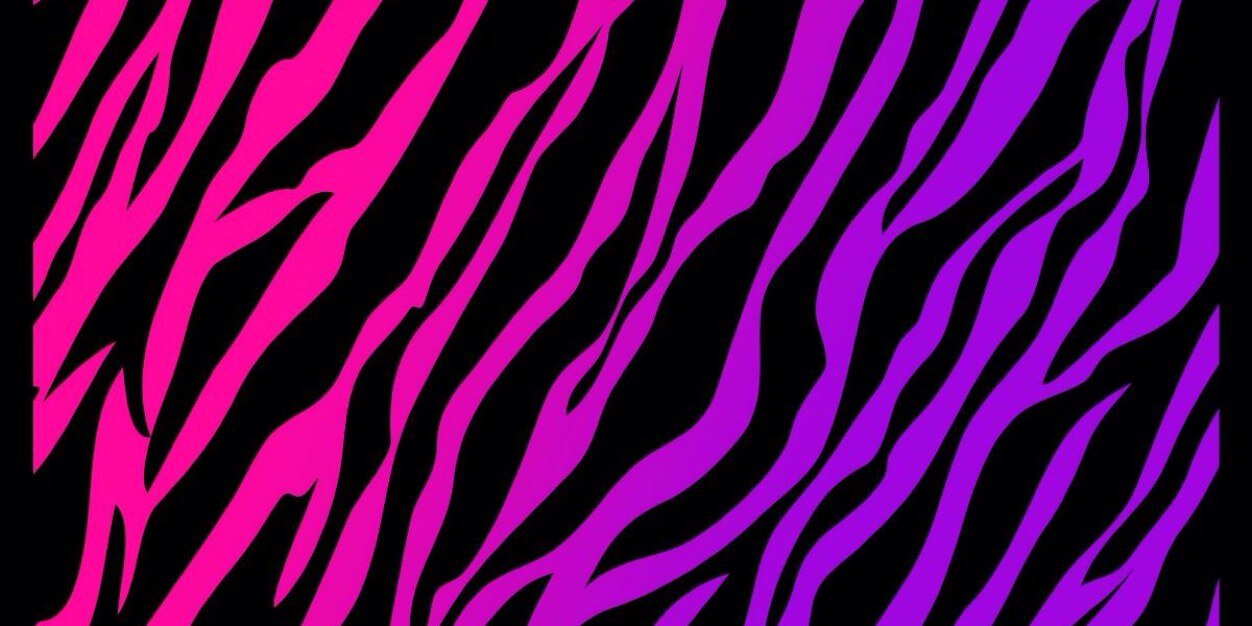CabLiz_'s profile banner image