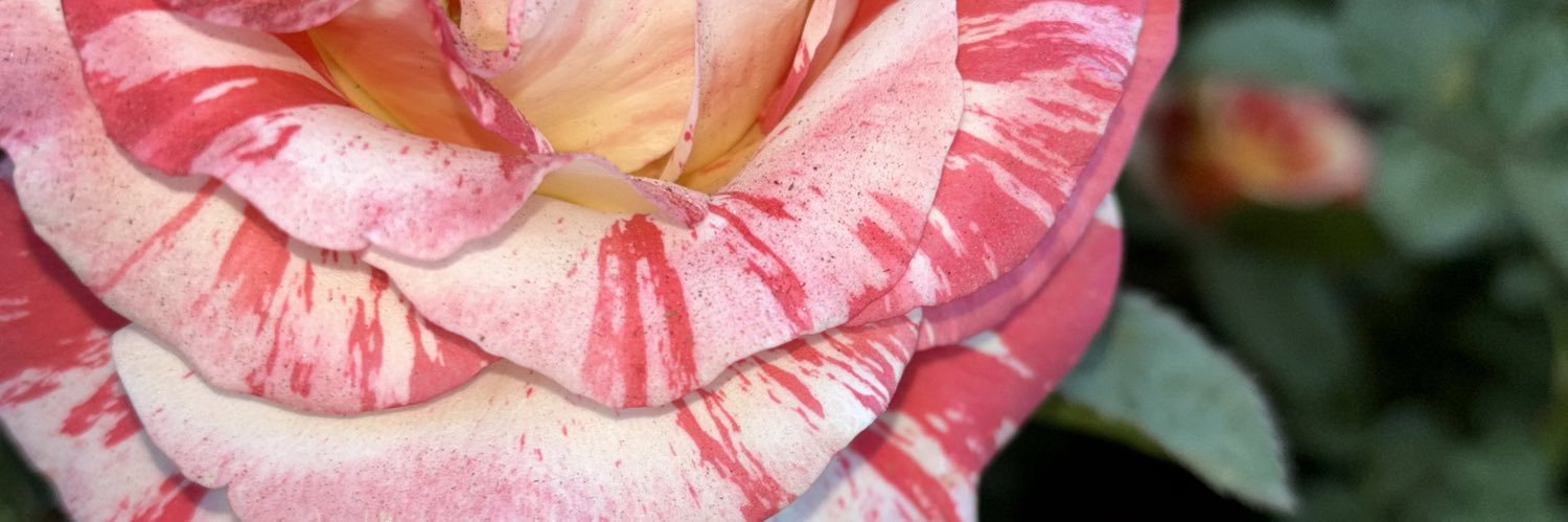 EstradaVictorea's profile banner image