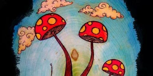 lenabeanlol's profile banner image