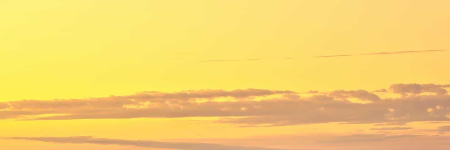 valepamerodeva's profile banner image
