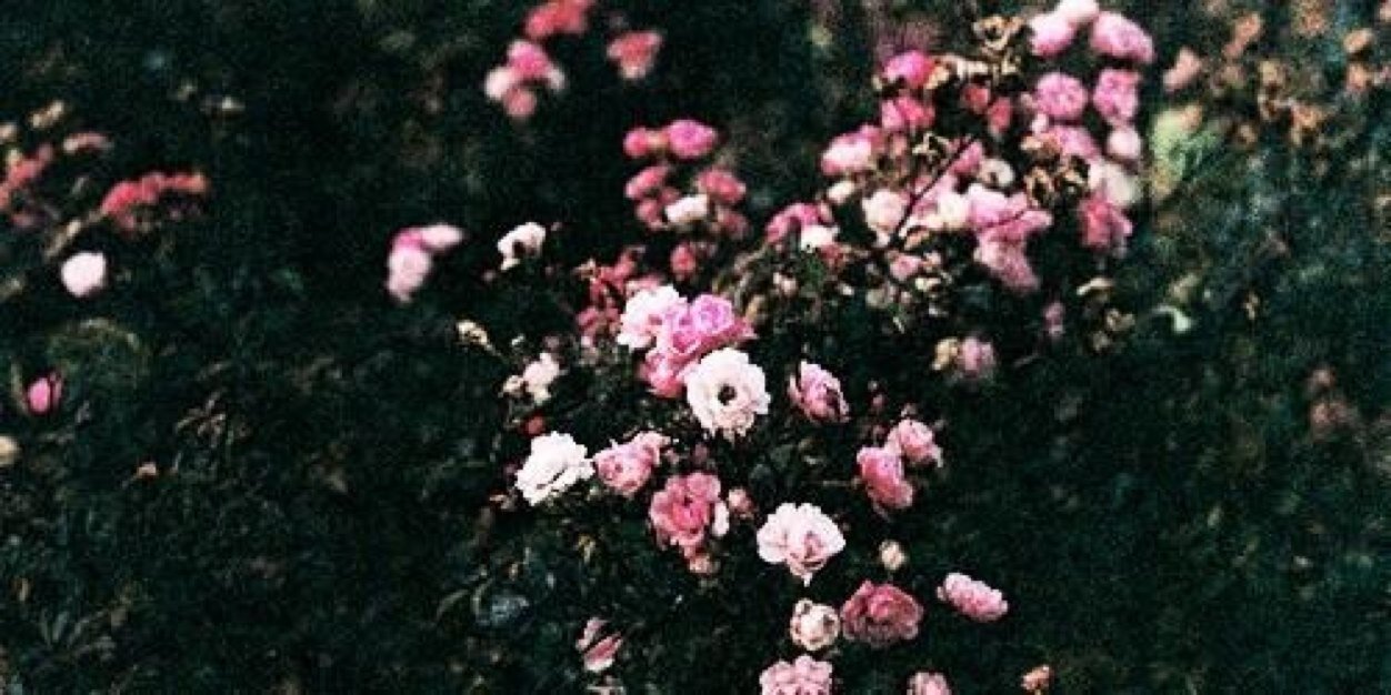 KayleighTWH's profile banner image