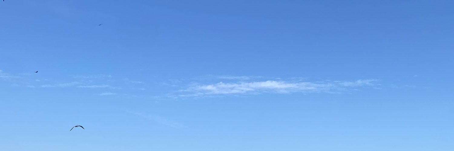 _brendajaneth's profile banner image