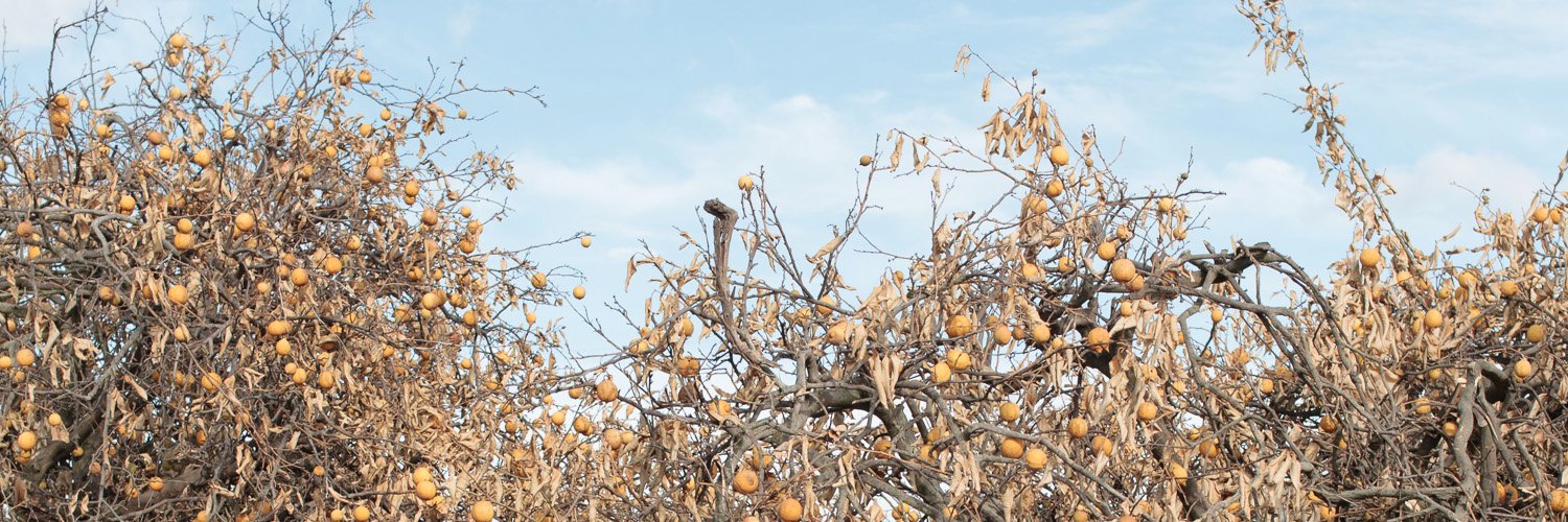 tylermast's profile banner image