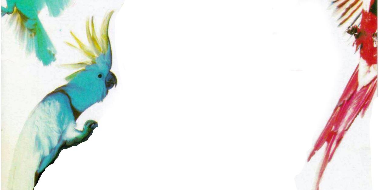 TributoMecano's profile banner image