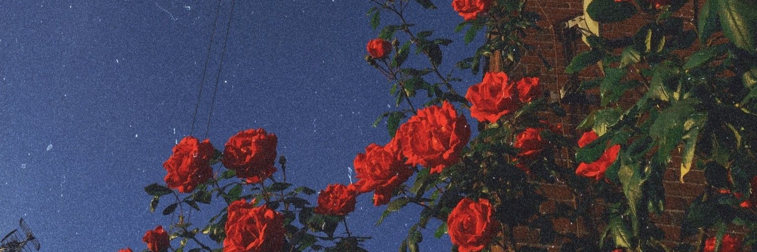 112lbs's profile banner image