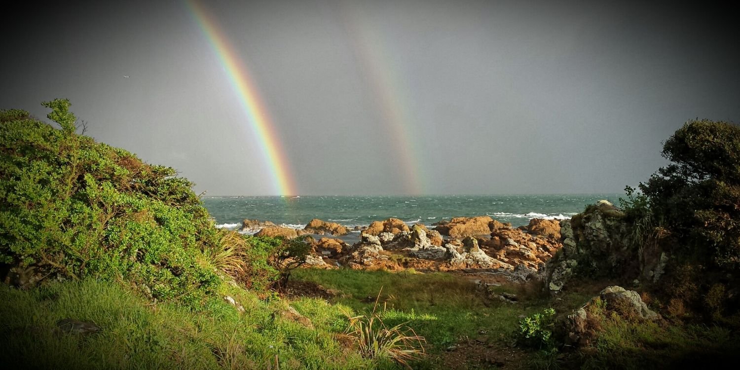 darien montgomerie banner