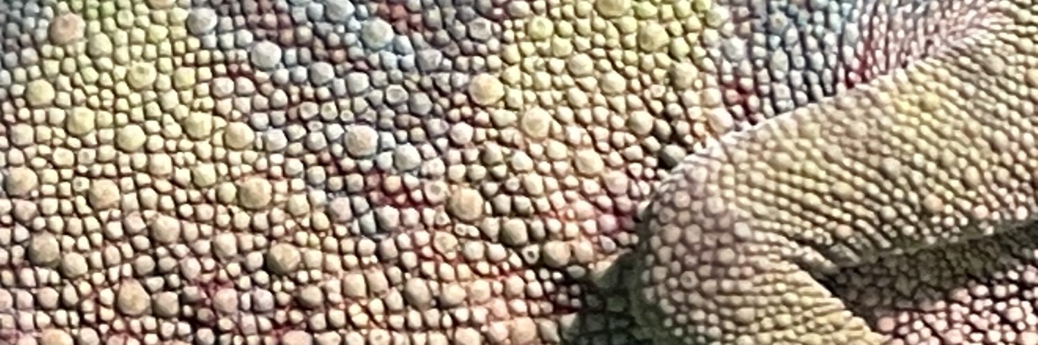 SuperRauch VFX Editor banner