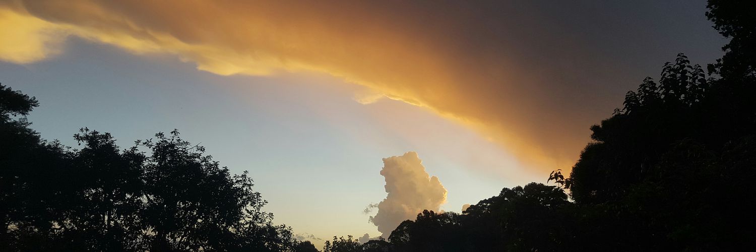 🆘️ WH&S S28 a) & b) 🇦🇺 banner