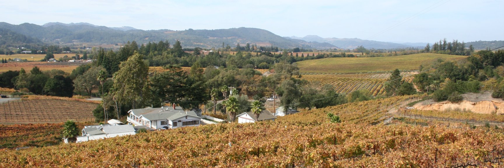 Rancho Maria Wines banner