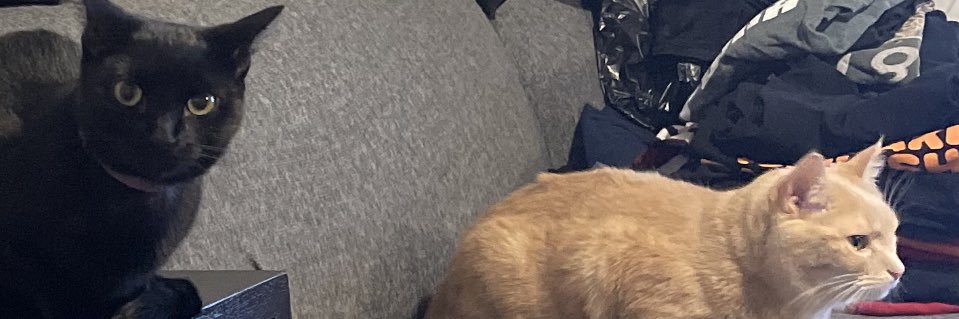 AlexPintaroy's profile banner image