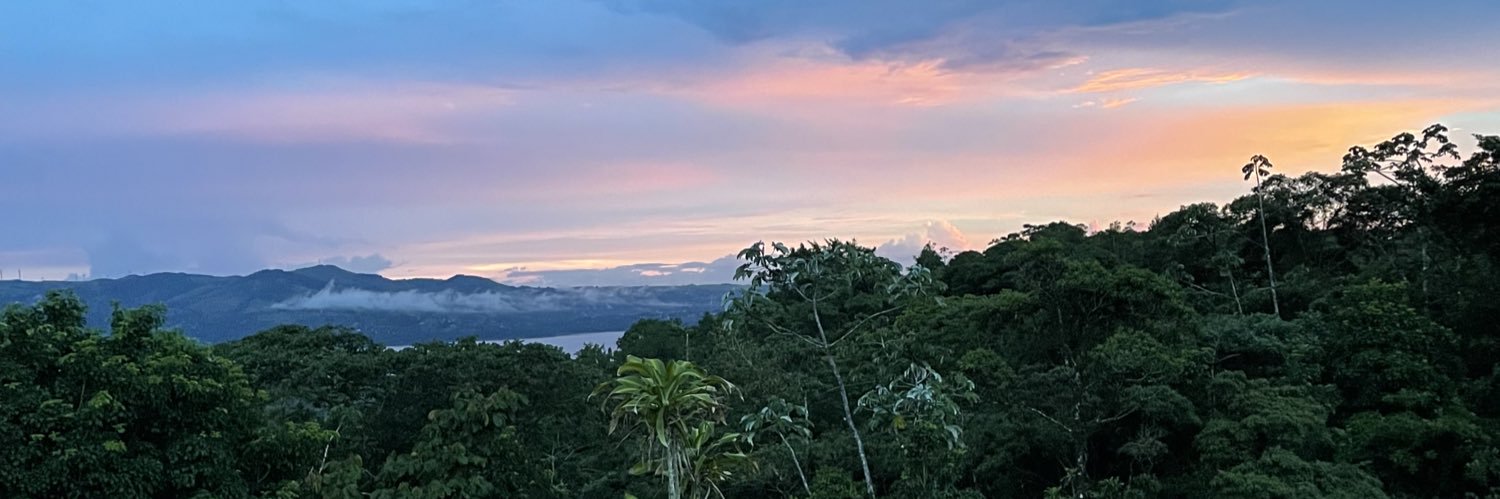 Lucinda Ho Ching banner