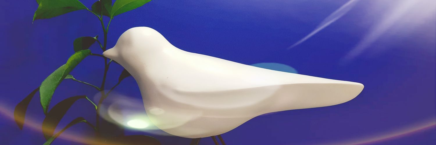 DPFuneriu's profile banner image